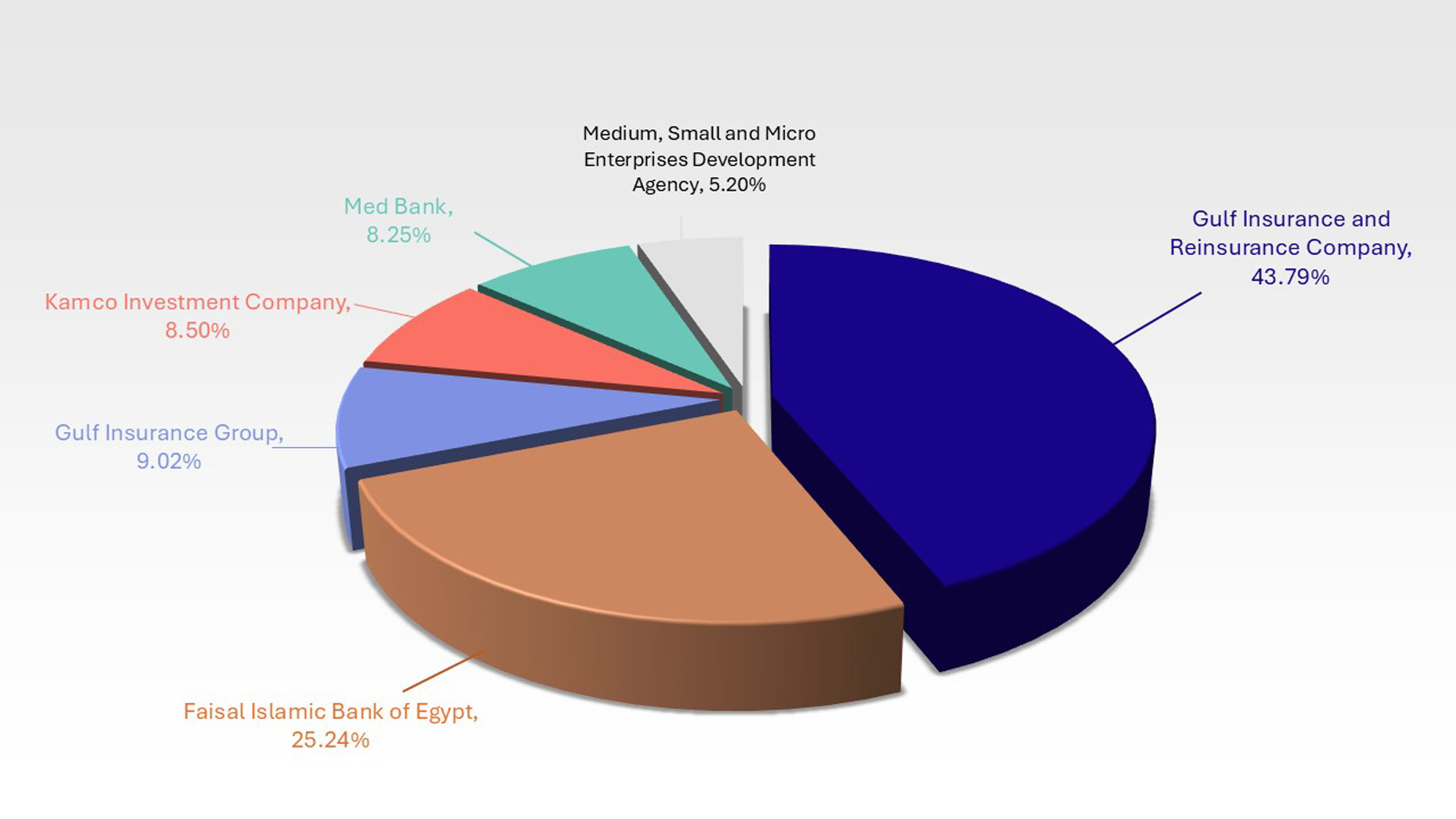 GIG Egypt Life Takaful Shareholders