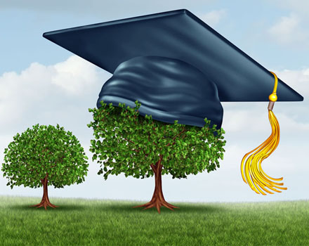 Guardian Education Plan